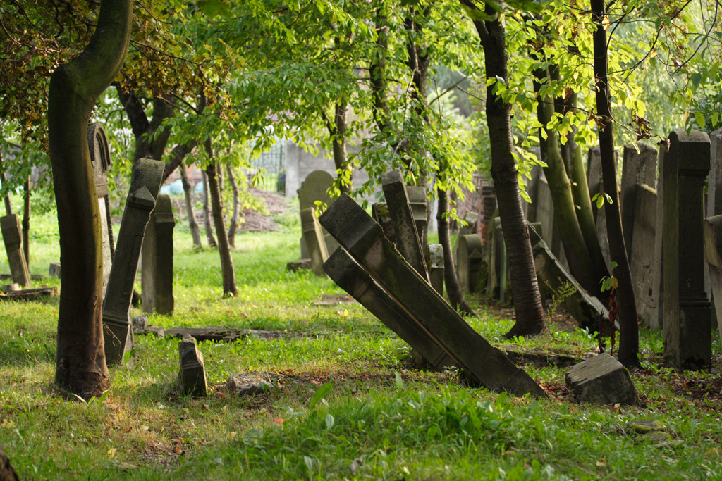 Cmentarz żydowski w Krośnie.